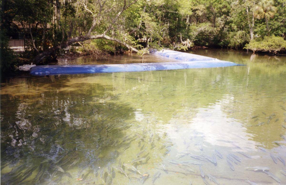 Shoreline Stabilization Techniques to Manage Erosion