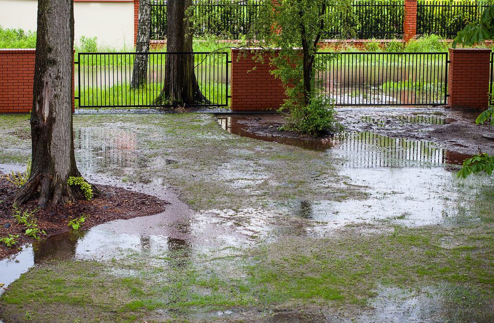 Ways to Manage Excess Water in Your Landscape