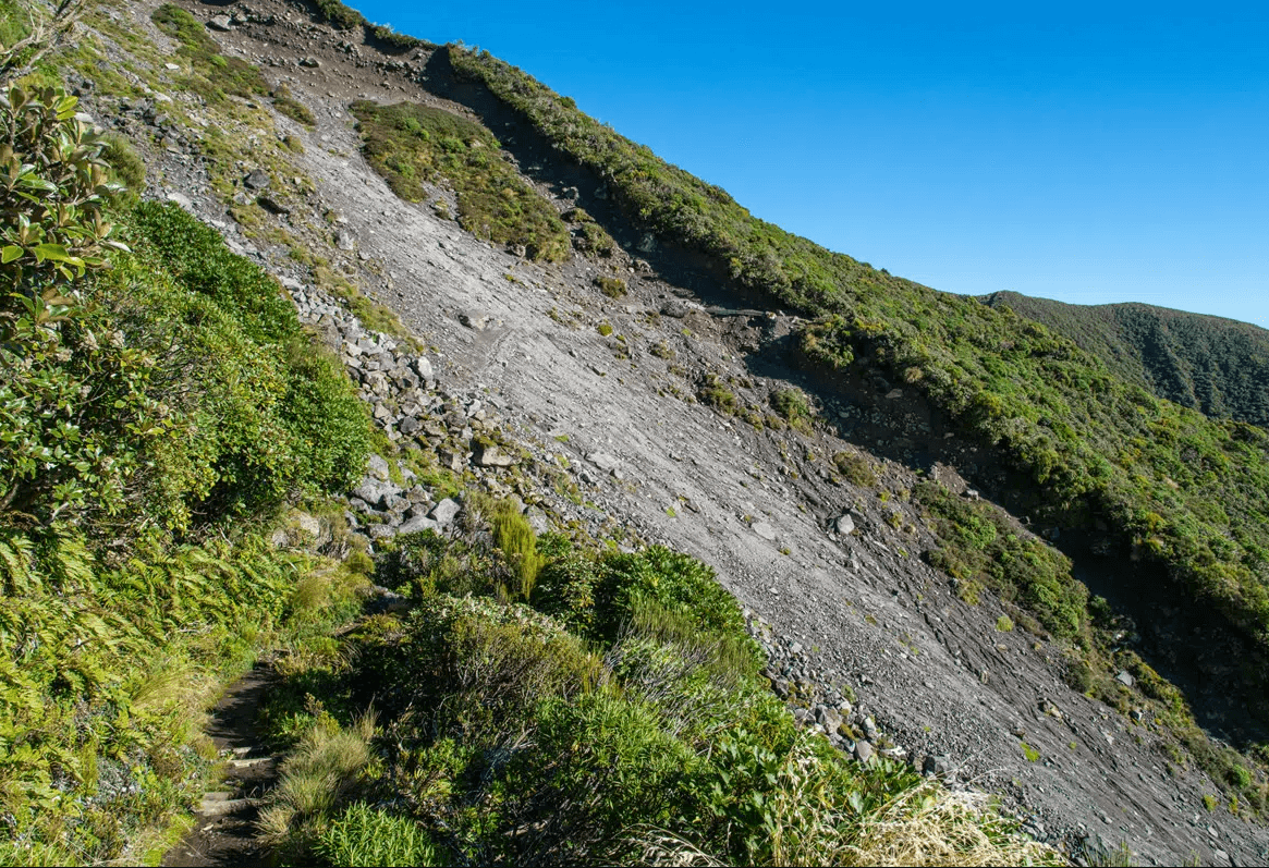 Steps for Erosion Control on Steep Slopes and Embankments