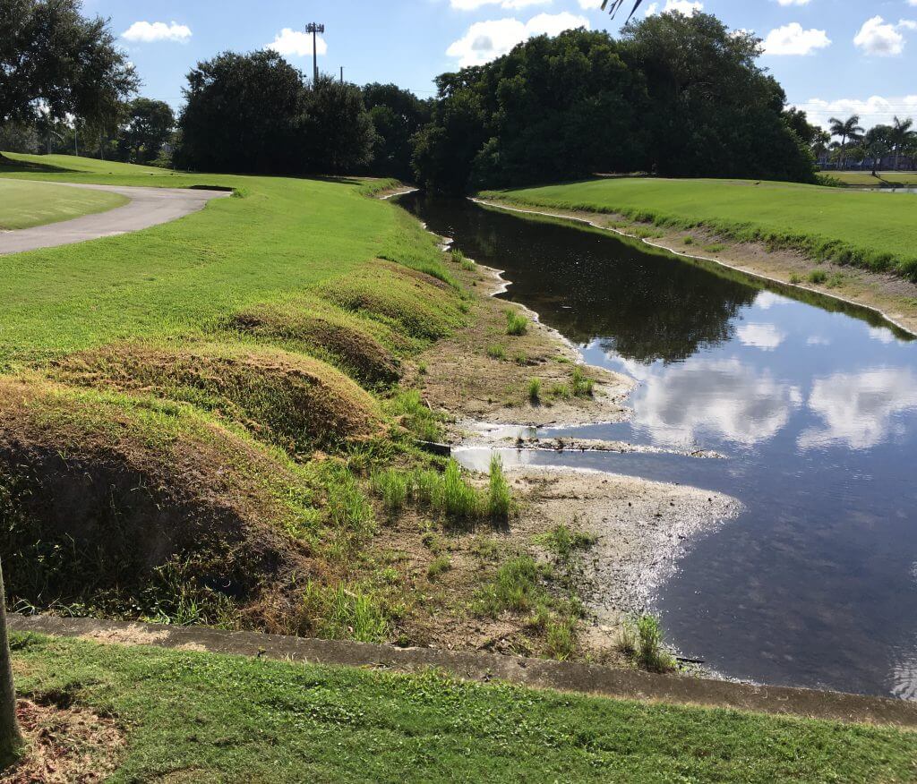 Different Types of Soil Erosion & How to Prevent Them