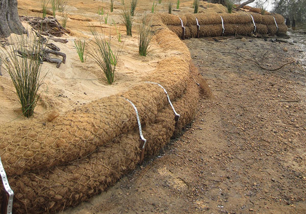 Coconut Coir Logs: How They Work And Their Advantages