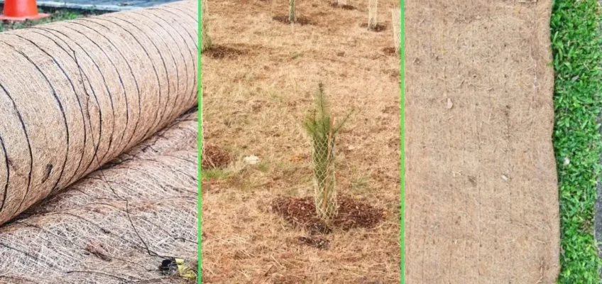Straw vs. Coconut Fiber Erosion Control Blankets: Pros and Cons