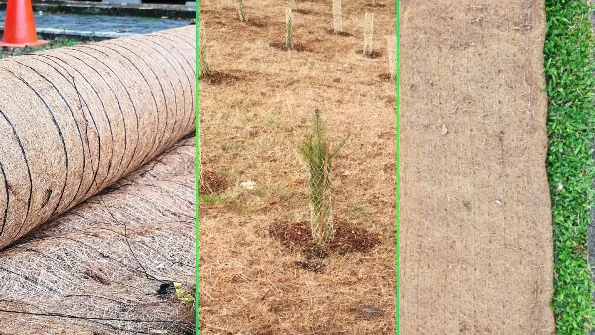 Straw vs. Coconut Fiber Erosion Control Blankets: Pros and Cons